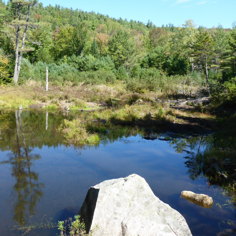 Eastman Brook