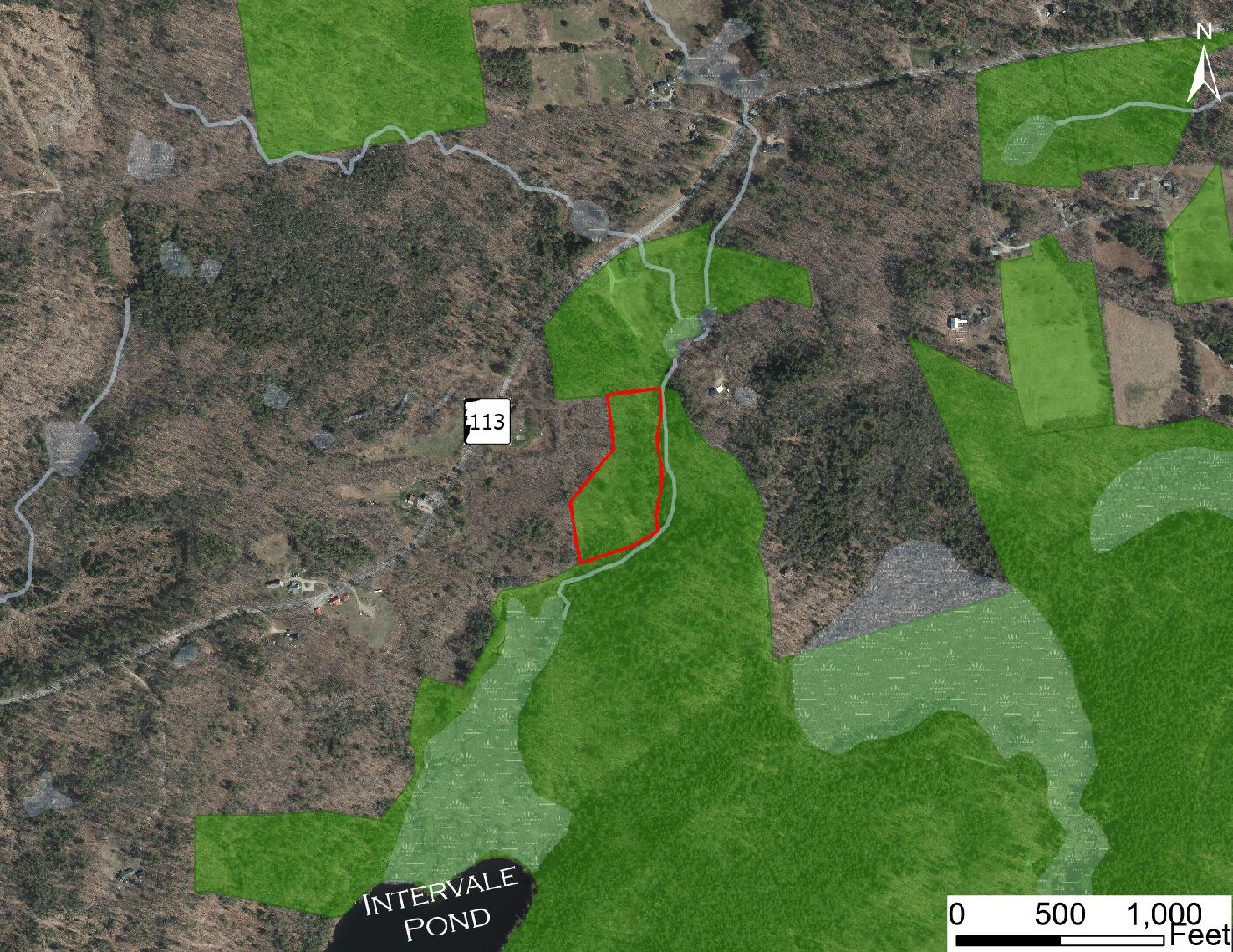 #187 Julius Smith Conservation Area